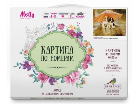 Фото Картина по номерам 40х50 Непогода (21 цвет) | Инномарт
