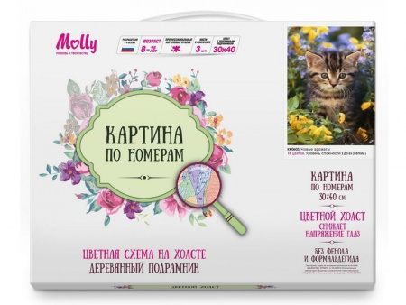Фото Картина по номерам с цветной схемой на холсте 30х40 Новые ароматы (18 цветов) | Инномарт