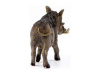 Фото Фигурка Schleich Бородавочник | Инномарт