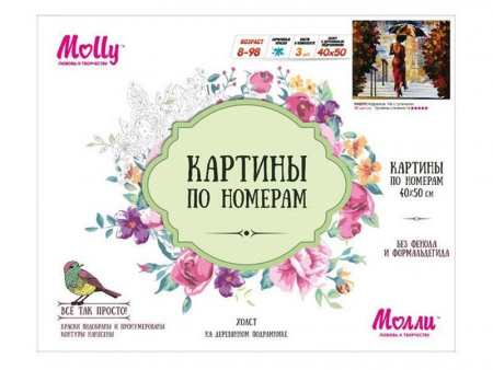 Фото Картина по номерам 40х50 На ступеньках (25 цветов) | Инномарт