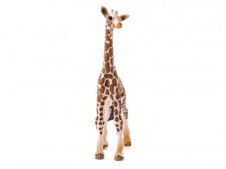 Фото Фигурка Schleich Детеныш жирафа | Инномарт