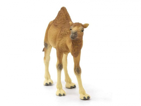 Фото Фигурка Schleich Одногорбый верблюд | Инномарт
