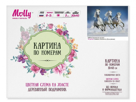 Фото Картина по номерам с цветной схемой на холсте (30х40) ОРЛОВСКИЕ РЫСАКИ (18 цветов) | Инномарт