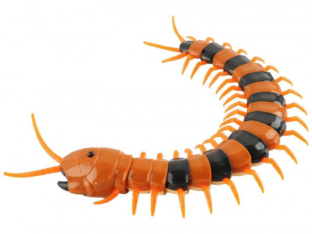 Фото ИК Сороконожка Best Fun Toys 9901 Centipede свет | Инномарт