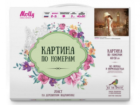 Фото Картина по номерам 40х50 ПОСЛЕ ДОЖДЯ (24 цвета) | Инномарт