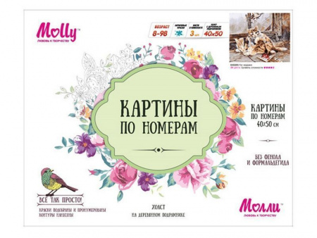 Фото Картина по номерам 40х50 На чердаке (24 цвета) | Инномарт