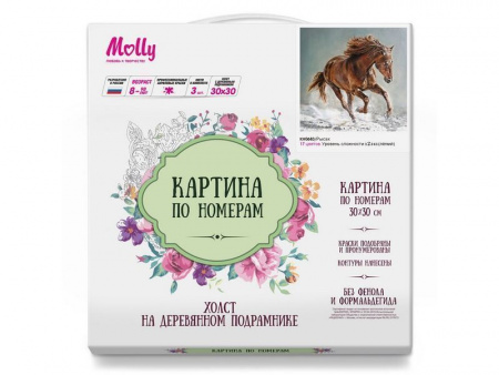 Фото Картина по номерам 30х30 Рысак (17 цветов) | Инномарт