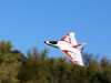Фото Самолет E-Flite Delta Ray One 500мм с технологией SAFE, электро, RTF | Инномарт