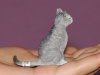 Фото Фигурка Schleich Кошка, сидит | Инномарт