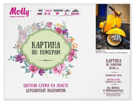 Фото Картина по номерам с цветной схемой на холсте (30х40) ВЕСПА (20 цветов) | Инномарт