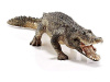 Фото Фигурка Schleich Аллигатор | Инномарт