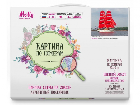 Фото Картина по номерам с цветной схемой на холсте 30х40 Бриг Россия (20 цветов) | Инномарт