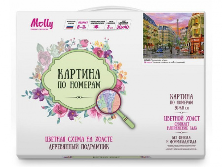 Фото Картина по номерам с цветной схемой на холсте 30х40 Парижская улица (24 цвета) | Инномарт