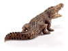 Фото Фигурка Schleich Крокодил | Инномарт