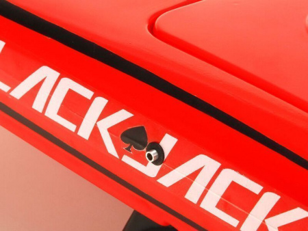 Фото Радиоуправляемый катамаран ProBoat Blackjack 24 Brushless RTR | Инномарт
