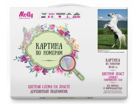 Фото Картина по номерам с цветной схемой на холсте 30х40 Белый конь (19 цветов) | Инномарт