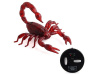 Фото ИК скорпион Best Fun Toys 9992 Scorpion свет | Инномарт