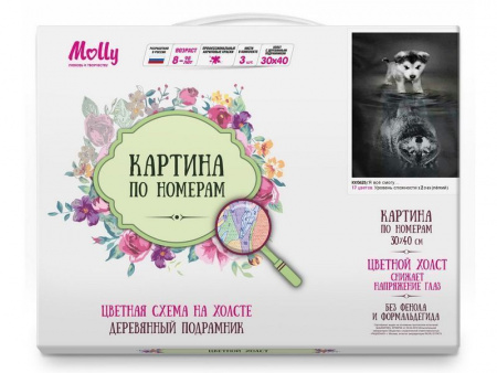Фото Картина по номерам с цветной схемой на холсте 30х40 Я все смогу... (17 цветов) | Инномарт