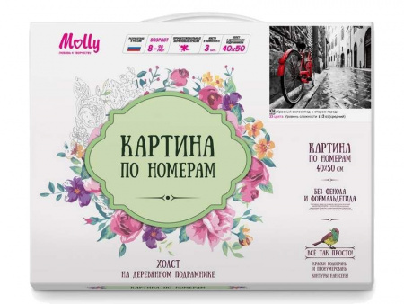 Фото Картина по номерам 40х50 КРАСНЫЙ ВЕЛОСИПЕД В СТАРОМ ГОРОДЕ (23 цвета) | Инномарт