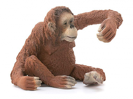 Фото Фигурка Schleich Орангутан, самка | Инномарт