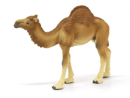 Фото Фигурка Schleich Одногорбый верблюд | Инномарт