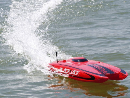 Фото Радиоуправляемый катамаран ProBoat Blackjack 24 Brushless RTR | Инномарт