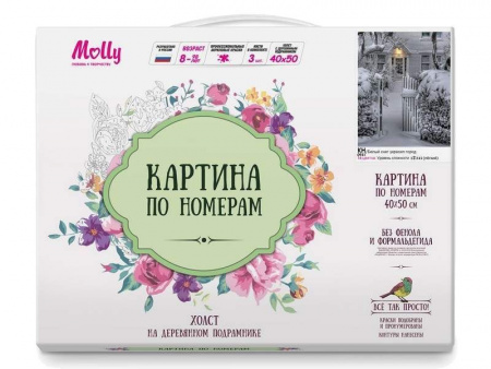 Фото Картина по номерам 40х50 БЕЛЫЙ СНЕГ УКРАСИЛ ГОРОД (16 цветов) | Инномарт