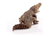 Фото Фигурка Schleich Крокодил | Инномарт