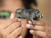 Фото Фигурка Schleich Бородавочник | Инномарт