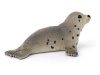 Фото Фигурка Schleich Детеныш тюленя | Инномарт