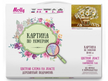 Фото Картина по номерам с цветной схемой на холсте 30х40 Бузин. Ромашковое кружево (20 цветов) | Инномарт