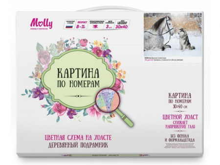 Фото Картина по номерам с цветной схемой на холсте 30х40 Друзья навсегда (18 цветов) | Инномарт