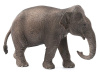 Фото Фигурка Schleich Азиатский слон, самка | Инномарт