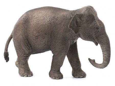 Фото Фигурка Schleich Азиатский слон, самка | Инномарт