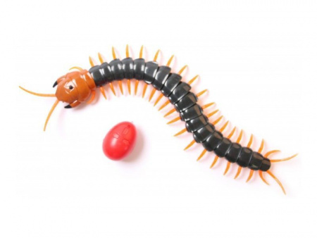 Фото ИК Сороконожка Best Fun Toys 9901 Centipede свет | Инномарт
