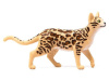 Фото Фигурка Schleich Бенгальская кошка | Инномарт