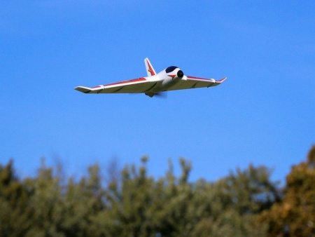 Фото Самолет E-Flite Delta Ray One 500мм с технологией SAFE, электро, RTF | Инномарт