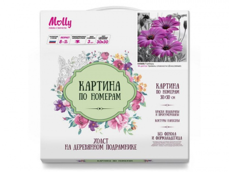 Фото Картина по номерам 30х30 Герберы (16 цветов) | Инномарт