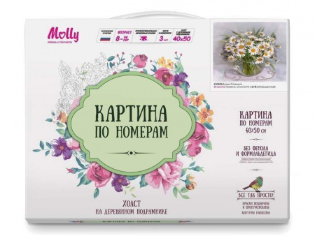 Фото Картина по номерам 40х50 БУЗИН. РОМАШКИ (26 цветов) | Инномарт