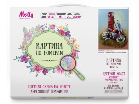 Фото Картина по номерам с цветной схемой на холсте 30х40 Харлей Дэвидсон (20 цветов) | Инномарт
