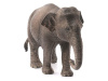 Фото Фигурка Schleich Азиатский слон, самка | Инномарт