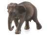 Фото Фигурка Schleich Азиатский слон, самка | Инномарт