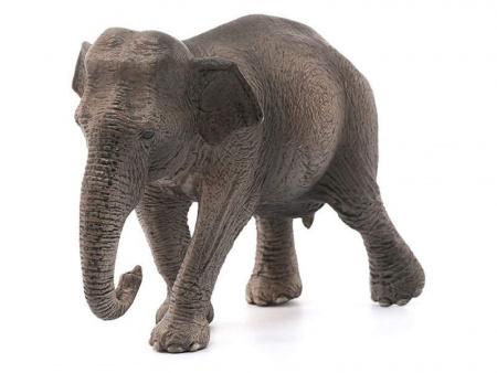 Фото Фигурка Schleich Азиатский слон, самка | Инномарт