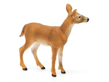 Фото Фигурка Schleich Белохвостый олень-самка | Инномарт