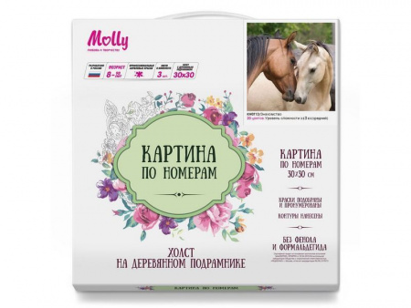 Фото Картина по номерам 30х30 Знакомство (20 цветов) | Инномарт