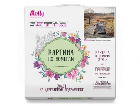 Фото Картина по номерам 30х30 ФОЛЬКСВАГЕН ЖУК (18 цветов) | Инномарт