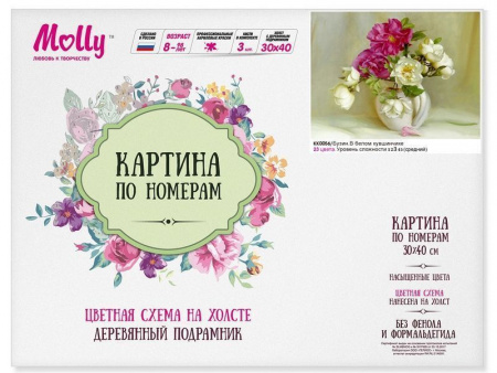 Фото Картина по номерам с цветной схемой на холсте 30х40 Бузин. В белом кувшинчике (23 цвета) | Инномарт