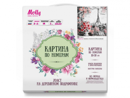 Фото Картина по номерам 30х30 ПАРИЖ (13 цветов) | Инномарт