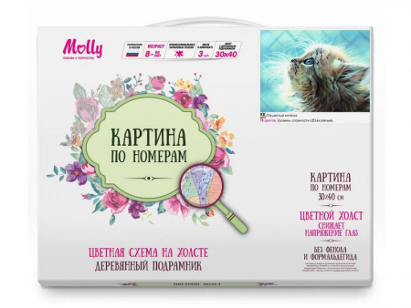 Фото Картина по номерам с цв. схемой на холсте 30х40 ПУШИСТЫЙ КОТЕНОК (18 цветов) | Инномарт